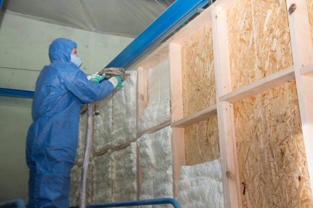 Best Residential Insulation Services  in Bonsall, CA