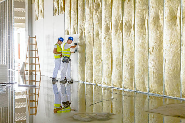 Best Blown-in Insulation  in Bonsall, CA